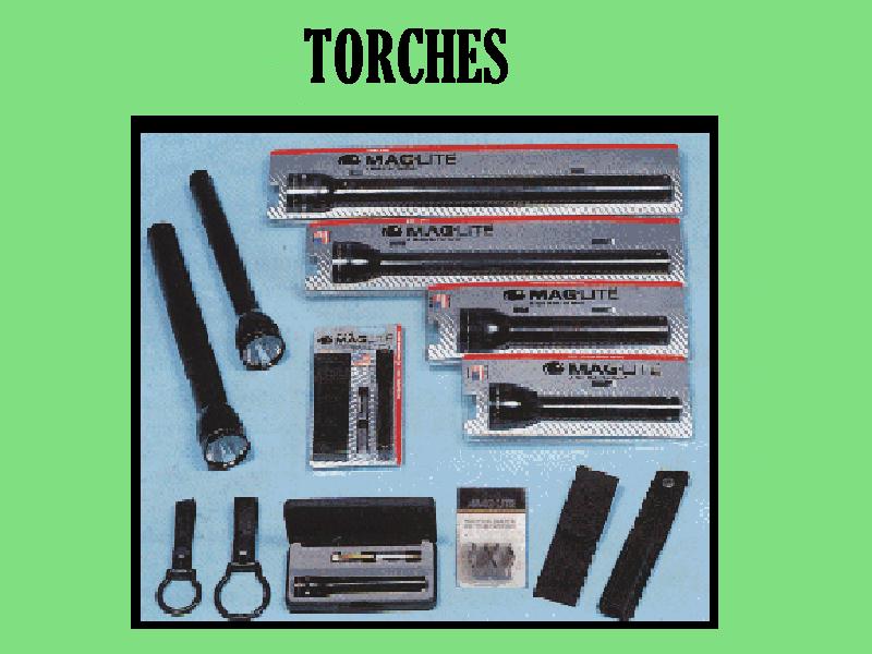 torches-2004.jpg